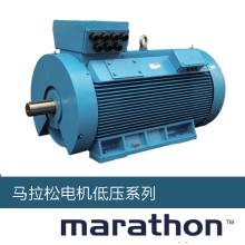 55KW Marathon马拉松电机